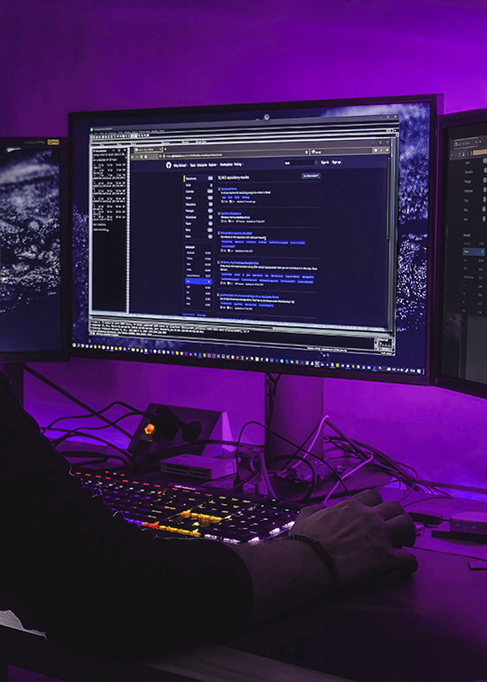 Web Development